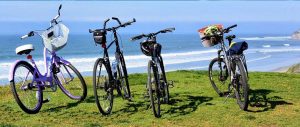 mission bay tour - Scenic Cycle Tours - San Diego Bike Tours