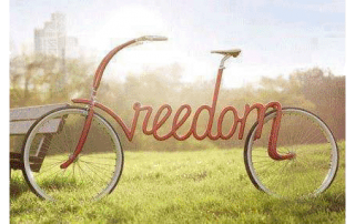 freedom - Scenic Cycle Tours - San Diego Bike Tours