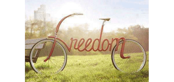 freedom - Scenic Cycle Tours - San Diego Bike Tours
