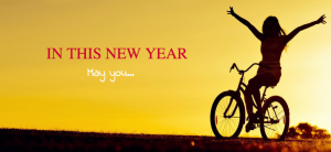 happy new year - Scenic Cycle Tours - San Diego Bike Tours