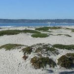 coronado sand dunes - San Diego Scenic Cycle Tours
