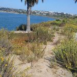 mellow after labor day - Scenic Cycle Tours - San Diego Bike Tours