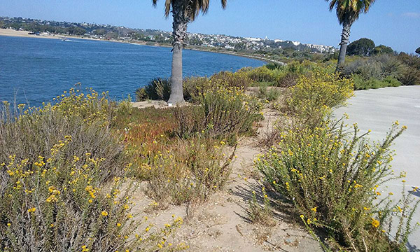 mellow after labor day - Scenic Cycle Tours - San Diego Bike Tours