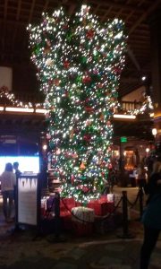 hotel del upside down christmas tree - Scenic Cycle Tours - San Diego Bike Tours