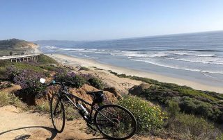 torrey pines beach - San Diego Scenic Cycle Tours