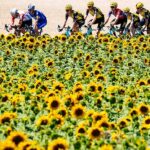 tour de france flowers - San Diego Scenic Cycle Tours