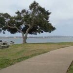 mission bay fall - San Diego Scenic Cycle Tours