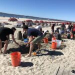 sand building classes - San Diego Scenic Cycle Tours