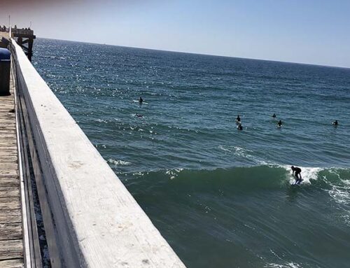 Surfers Below!