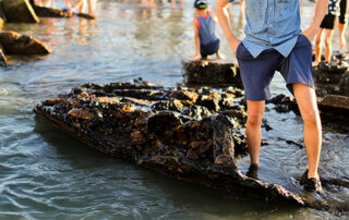 Hunting for Silver Coins on coronado sunken ship - San Diego Scenic Cycle Tours