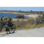 March Mission Bay Flowers - San Diego Scenic Cycle Tours