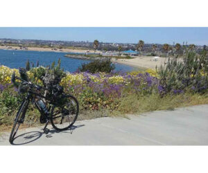 March Mission Bay Flowers - San Diego Scenic Cycle Tours