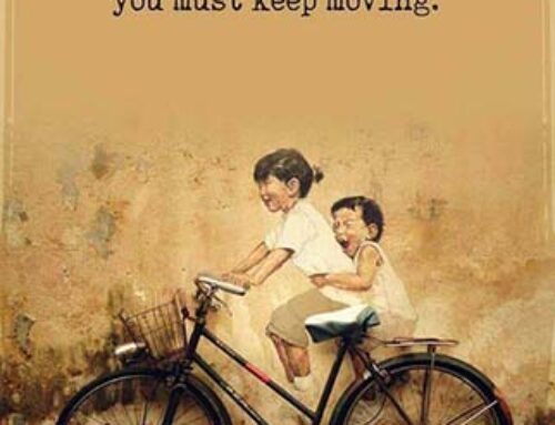 Bike Wisdom