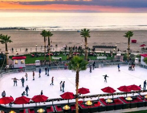 It’s 70° – Skating by the Sea!