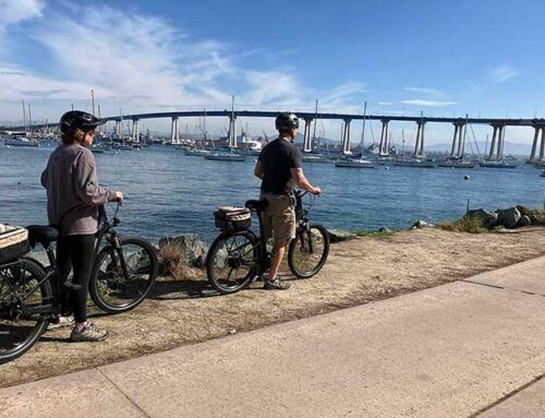 eBikes are Now Available!