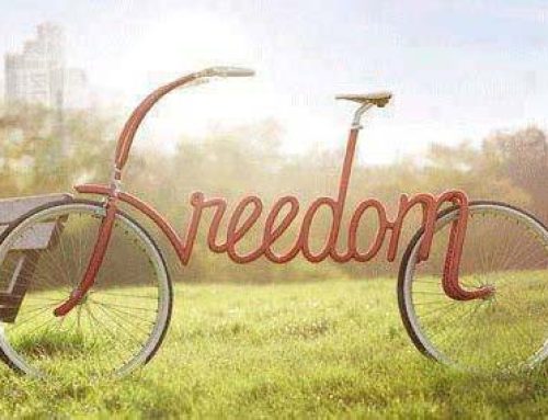Freedom