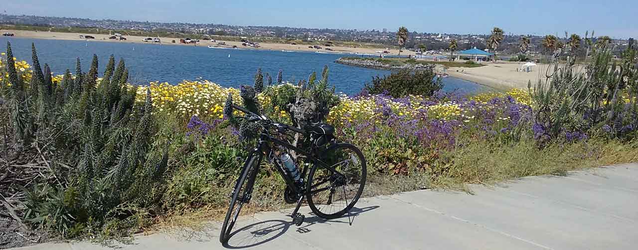 mission bay bike path flowers - San Diego Scenic Cycle Tours